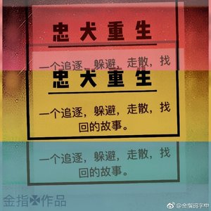 忠犬重生